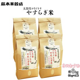 【ふるさと納税】島根県雲南市「大月谷コウノトリやすらぎ米」きぬむすめ8kg（2kg×4）