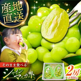 【ふるさと納税】【2025年先行予約】【8月初旬頃から順次発送】皮ごと食べれる！シャインマスカット 2房 約800g 島根県雲南市/池田ぶどう農園　[AIAA002]