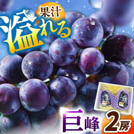 【ふるさと納税】【2025年先行予約】【8月初旬頃から順次発送】溢れる果汁がたまらない！巨峰 2房 約700g 島根県雲南市/池田ぶどう農園　[AIAA003]