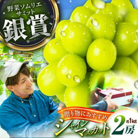 【ふるさと納税】【2025年先行予約】【数量限定】【贈答用】旬の味わいを産地直送で！シャインマスカット 2房（約1kg）秀品・化粧箱入り 島根県雲南市/ギアファーム[AIAB001]