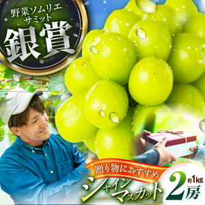 yӂ邳Ɣ[Łzy2026Ns\zy50zypz{̖킢YnŁIVC}XJbg 2[i1kgjGiEϔ Ԃǂ uhE  t[c ʕ  Ȃ 