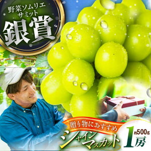 �y�ӂ邳�Ɣ[�Łz�y2026�N��s�\��z�y15����z�y�����p�z�{�̖��킢���Y�n�����ŁI�V���C���}�X�J�b�g 1�[�i��500g�j�G�i�E���ϔ����� �Ԃǂ� �u�h�E ���� �t���[�c �ʕ� �������� ��Ȃ�