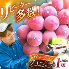 【ふるさと納税】【2025年先行予約】【数量限定】【贈答用】リピーターが続出中！クイーンニーナ 1房（約500g）秀品・化粧箱入り 島根県雲南市/ギアファーム[AIAB005]