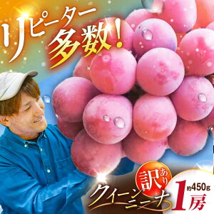 yӂ邳Ɣ[Łzy2026Ns\zy30zypzs[^[oINC[j[i 1[i450gjȈՕ 󂠂 Ԃǂ uhE  t[c ʕ  Ȃ ƒp 