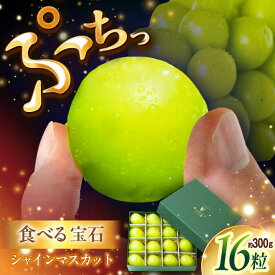 【ふるさと納税】【お中元対象】【2025年先行予約】【数量限定】贈り物におすすめ！シャインマスカット ジュエリーBOX 16粒(約300g) 島根県雲南市/ギアファーム[AIAB009]