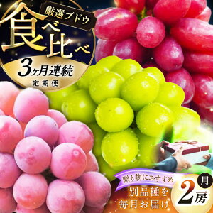 yӂ邳Ɣ[ŁzyS3ցzy2026Ns\zy30zyGizԂǂ͂IC`IV3i e2[ uhE  VC}XJbg 嗱 t[c ʕ  Zbg H