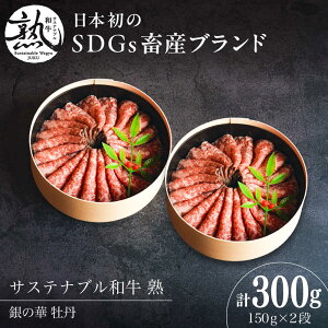 yӂ邳Ɣ[Łz̉ O ([Xgr[t)2i 150g×2i 300g TXeiua n |   ɂ [Xgr[t [Xg _s/ЏnLt@[[AIAT001]