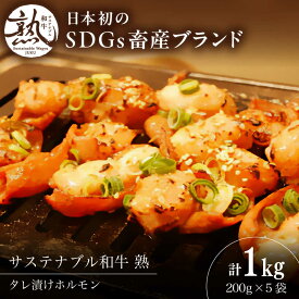 【ふるさと納税】 ホルモン サステナブル和牛 熟 タレ漬けホルモン5P 200g×5袋 計1キロ | サステナブル 和牛 熟 自家製 タレ漬け ホルモン 牛肉 肉 にく 小分け 焼肉 焼き肉 バーベキュー もつ鍋 惣菜 おかず おつまみ 冷凍 島根県雲南市/株式会社熟豊ファーム[AIAT019]