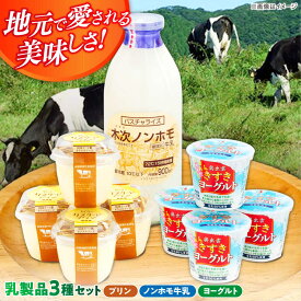 【ふるさと納税】朝食やおやつに！プリン・ヨーグルト・ノンホモ牛乳 乳製品3種セット 島根県雲南市/木次乳業有限会社[AIBH001]