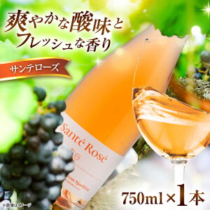 yӂ邳Ɣ[Łzy2025NVzTe[YiJxl\[Bj[EXp[NOj750ml×1{ C  Ԃǂ _s/LЉo_[AICS090]