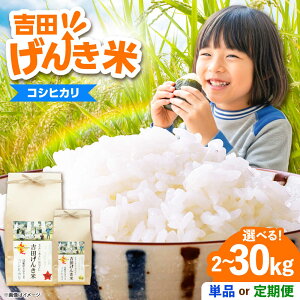 yӂ邳Ɣ[Łz ugc񂫕āvRVqJ ւ Iׂ e 2kg 5kg 10kgse/͂񐔂Iтt _s/LГ{čXb   Y  