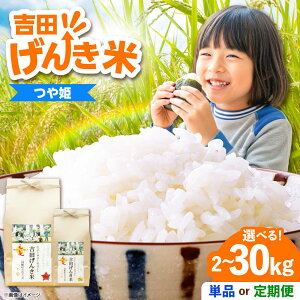 yӂ邳Ɣ[Łz ugc񂫕āvP ւ Iׂ e 2kg 5kg 10kgse/͂񐔂Iтt _s/LГ{čXb   Y  