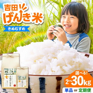 �y�ӂ邳�Ɣ[�Łz�� �u�g�c���񂫕āv���ʂނ��� ����ւ��� �I�ׂ� ���e�� 2kg 5kg 10kg�s���e��/���͂��񐔂����I�т��������t������ �_��s/�L����Г��{�č��X�b�� ���� ���� ���Y ���� ��