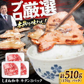 【ふるさと納税】牛タン 薄切り 味付けなし しまね和牛 牛タン510g 牛たん タン たん 牛肉 和牛 国産 国産牛 赤身 焼肉 人気 黒毛和牛 ブランド牛 BBQ 島根県雲南市/株式会社O.R.C[AIEF004]
