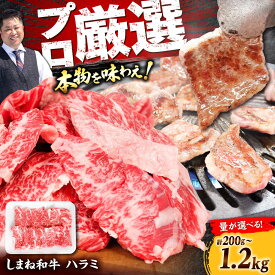 【ふるさと納税】【選べる容量！】 【焼肉の定番！】しまね和牛ハラミ200g～1.2kg和牛 牛肉 国産 国産牛 赤身 焼肉 ステーキ ハラミ 人気 黒毛和牛 ギフト 島根県雲南市/株式会社O.R.C[AIEF005]