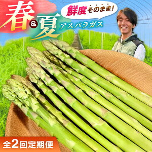 �y�ӂ邳�Ɣ[�Łz�y�S2�����ցz�y��s�\��z�y2026�N4���ȍ~�����z�t���ăA�X�p���K�X �e1kg �������_��s/tasten ��� �A�X�p�� ���ʌ��� 20��[AIEJ002]