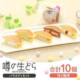 【ふるさと納税】 噂の生どら バラエティセット 10個入 5種 各2個 小倉 プリン 抹茶 珈琲 チョコ 生どら どら焼き お菓子 詰め合わせ セット 個包装 スイーツ 冷凍 おやつ 茶菓子 おしゃれ 贈り物 ギフト プレゼント