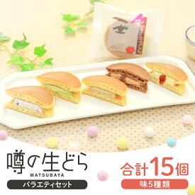 【ふるさと納税】 噂の生どら バラエティセット 15個入 5種 各3個 小倉 プリン 抹茶 珈琲 チョコ 生どら どら焼き お菓子 詰め合わせ セット 個包装 スイーツ 冷凍 おやつ 茶菓子 おしゃれ 贈り物 ギフト プレゼント