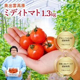 【ふるさと納税】 世界基準 奥出雲 高原ミディトマト 1.3kg 中玉 トマト とまと 野菜 厳選 新鮮 甘い 健康 美容 安心 安全 美味しい サラダ リコピン