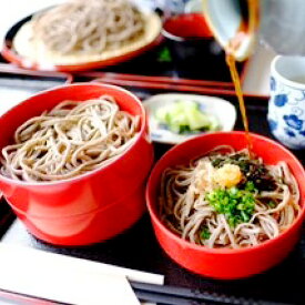 【ふるさと納税】 生そば 蕎麦 4人前 高原そば壱心 打ち立て 冷蔵 チルド のど越し 玄そば 国産 手打ち 自家製 石臼挽き そばつゆ 麺 食品 麺類