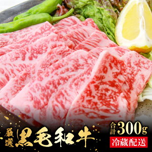 yӂ邳Ɣ[Łz o_a Ԑg ēp 300g Y Y ѓ쒬Y   a јa uha VN ē BBQ u ~  TV i ґ p p j a