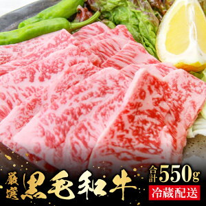yӂ邳Ɣ[Łz o_a [X ēp 550g Y Y ѓ쒬Y   a јa uha ē BBQ u ~  TV i ґ p p j a