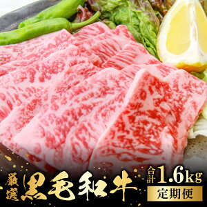 yӂ邳Ɣ[Łz yցz o_a [X ēp 400g×4 v1.6kg 4 ͂ Y Y ѓ쒬Y   a јa BBQ ē u ԂJbg ~ TV