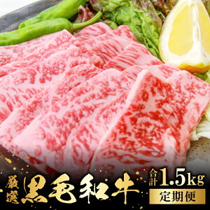 yӂ邳Ɣ[Łz yցz o_a Ԑg ēp 300g×5 v1.5kg 5 ͂ Y Y ѓ쒬Y   a јa BBQ ē u ~ TV i ґ VN 