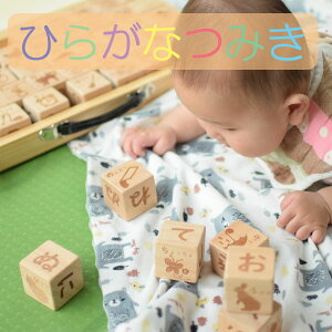 知育玩具 積み木 ひらがなの人気商品 通販 価格比較 価格 Com 知育玩具 積み木 ひらがなの人気商品 通販 価格比較 価格 Com