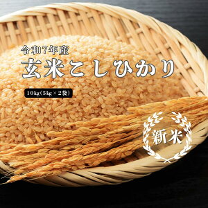 yӂ邳Ɣ[Łzߘa7NY ܂ː{  10kg(5kg×2)  {Y   Ό