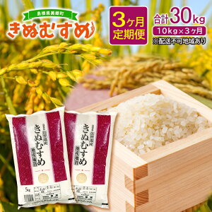 yӂ邳Ɣ[Łz y3zʂނ 10kg 5kg 2 3񂨓͂ v30kg ͂   Y Yn uh ٓ  ɂ Yi 