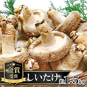 yӂ邳Ɣ[Łz ۏ ő  1.5kg 15`20 Y  ̂      Hi H O LmR    Xe[L I[uĂ ① Yi 