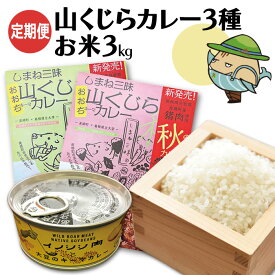 【ふるさと納税】 みさと産直 猪肉 キーマカレー 3種 コシヒカリ 3kg セット 各3個入【3か月定期便】【加工食品 レトルト 缶詰 惣菜 キーマカレーセット イノシシ肉 大豆 ジビエ お米】国産 清流米 特産品 詰め合わせ お取り寄せ グルメ