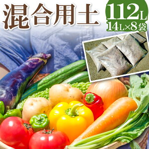 yӂ邳Ɣ[Łz py 14L×8 A y | K[fjO Y ƒ؉ _   ϗtA   y
