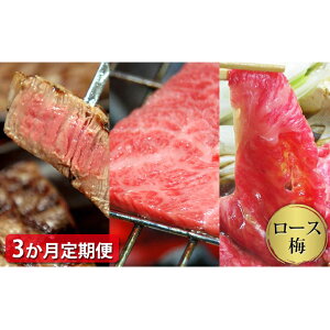 yӂ邳Ɣ[Łz y3zΌa [Xē 550g [XĂ 550g [XXe[L 170g×4 v1.7kg ͂ 3 Y   uh XCX Yi  O
