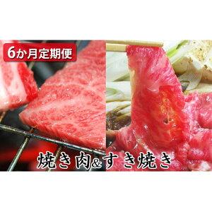yӂ邳Ɣ[Łz y6zΌa ~bNXĂ 300g Ă 300g [XĂ 450g ē 450g [XĂ 550g ē 550g v2.6kg ͂ 6 Y   uh 