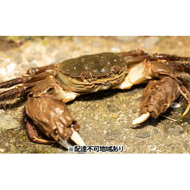楽天市場 恵味 カニ 魚介類 水産加工品 食品の通販