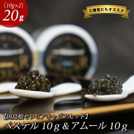 楽天市場 オオサンショウウオ 食品 の通販