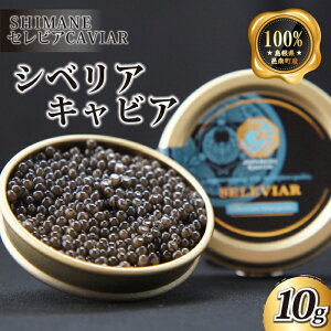 yӂ邳Ɣ[ŁzLrA uVxAv10g