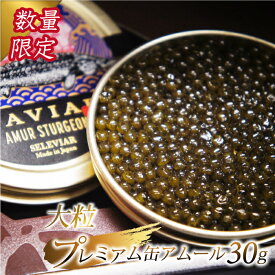 楽天市場 オオサンショウウオ 食品 の通販