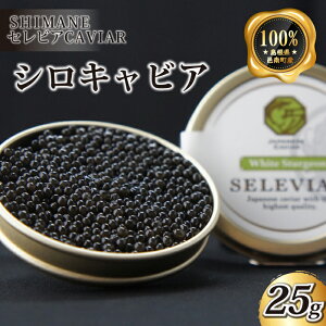 yӂ邳Ɣ[ŁzLrAuVv25g