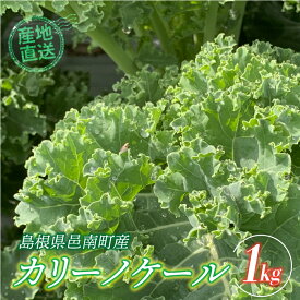 【ふるさと納税】カリーノケール1kg　6月よりお届け
