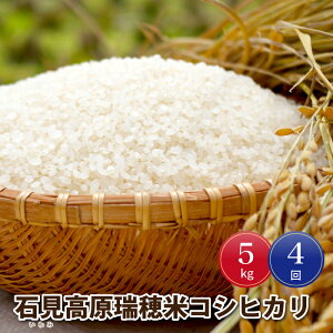 yӂ邳Ɣ[Łzߘa7NYy4zW쒬YΌ5kg