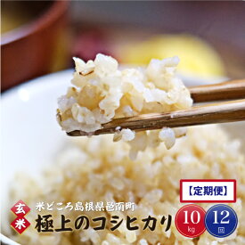 【ふるさと納税】令和5年産!【玄米】邑南町産石見高原瑞穂米10kg（5kg×2） 定期便12か月　お届けコース