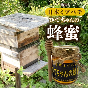 【ふるさと納税】日本ミツバチ ひでちゃんの蜂蜜