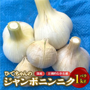 【ふるさと納税】【先行予約】ひでちゃんのジャンボニンニク(バラ)1kg