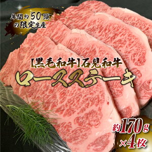 yӂ邳Ɣ[ŁzΌaiјaj [XXe[Lp