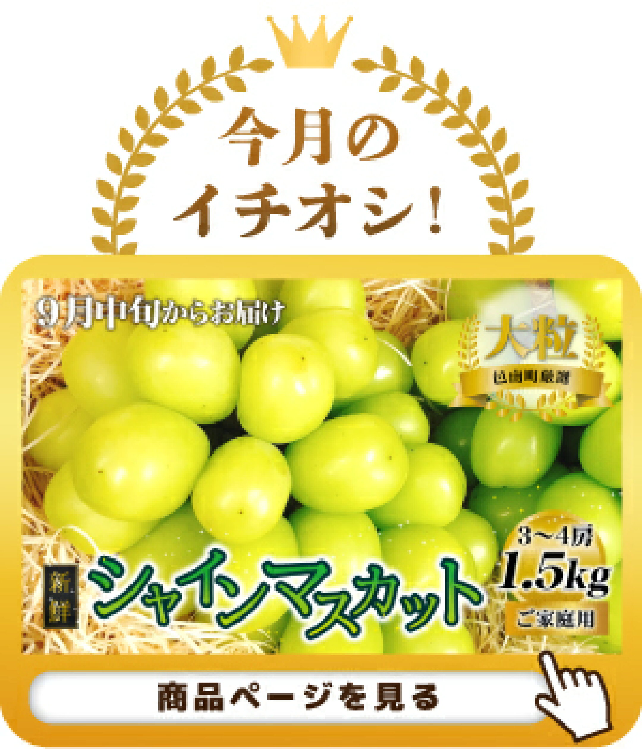 新鮮フルーツ シャインマスカット 1.5kg 果物 くだもの