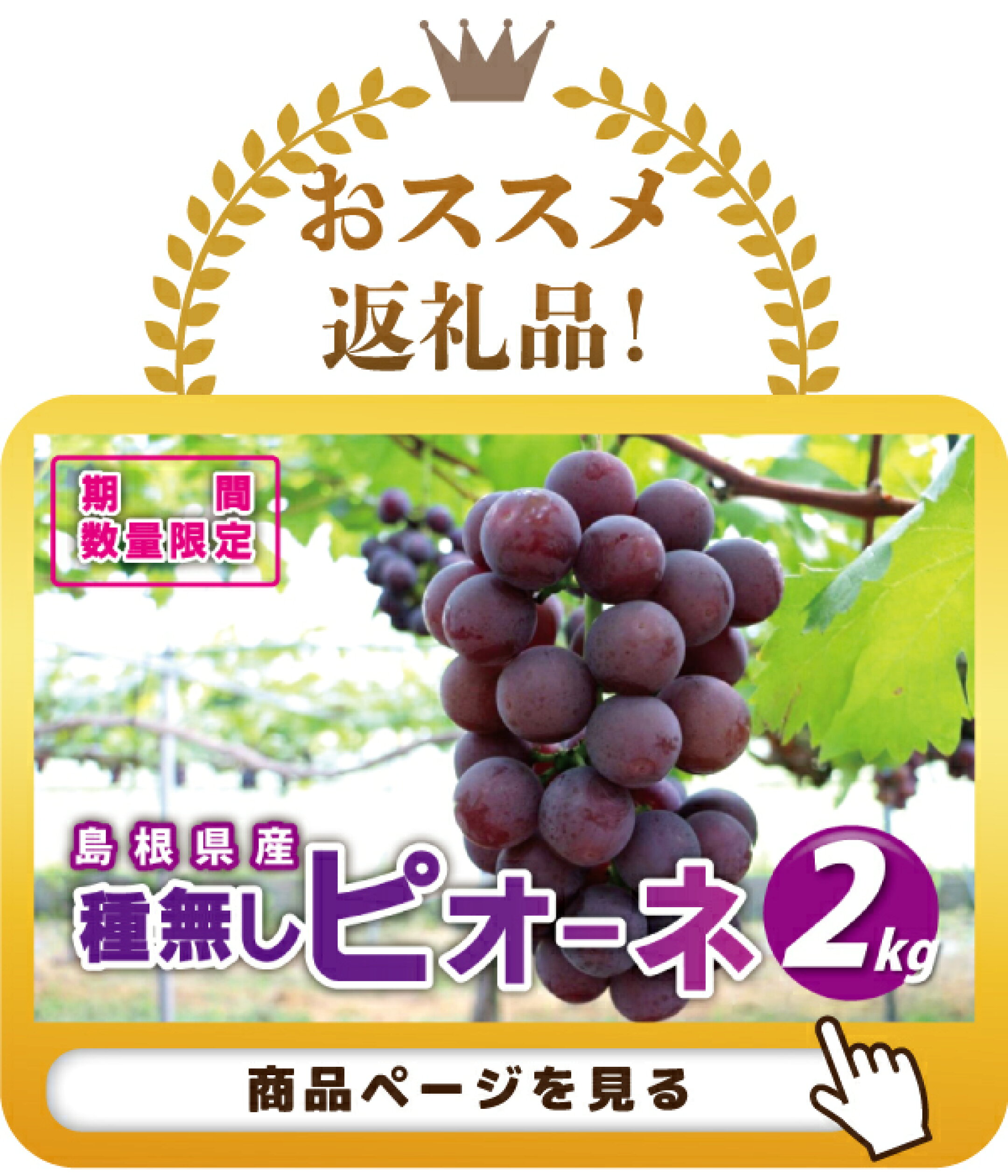 先行予約【糖度18度以上！】種無しピオーネ約2kg
