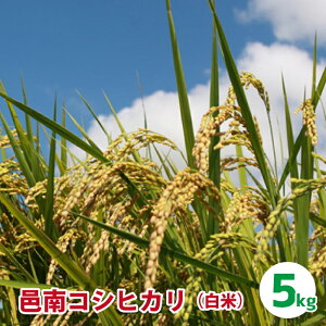yӂ邳Ɣ[ŁzWRVqJiāj5kg